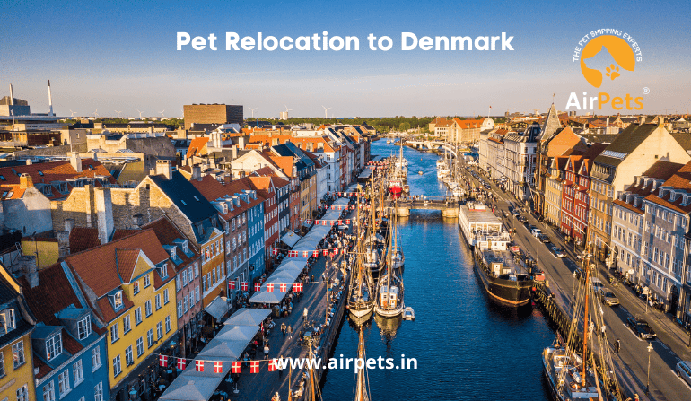 Pet Relocation to Denmark
