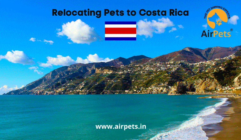 Relocating Pets to Costa Rica