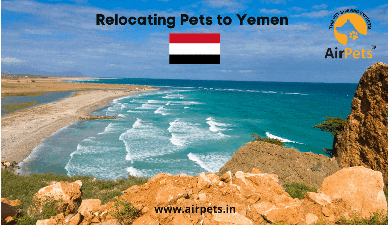Relocating Pets to Yemen