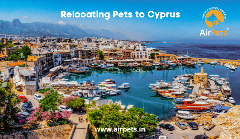 Relocating Pets to Cyprus