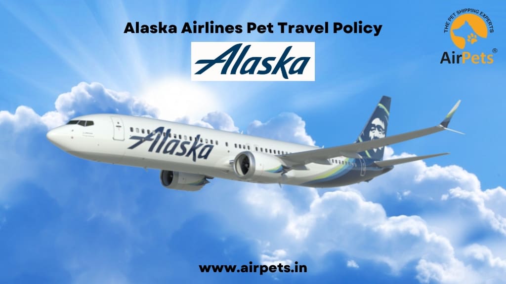 Alaska Airlines Pet Travel Policy