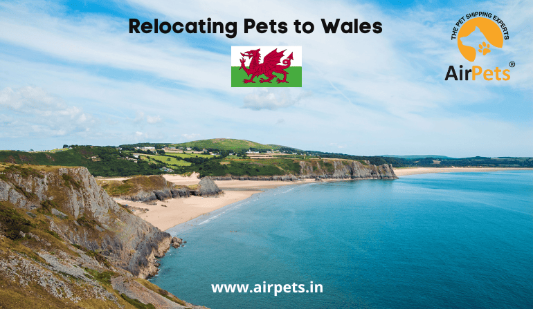 Relocating Pets to Wales