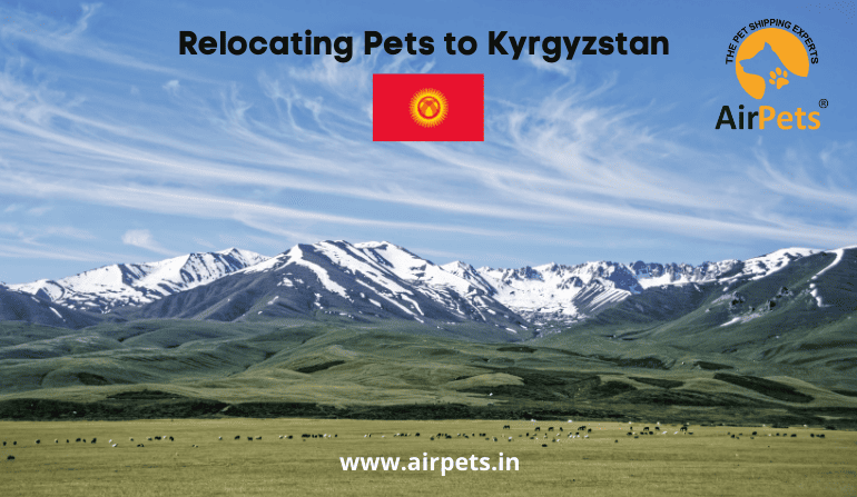 Relocating Pets to Kyrgyzstan