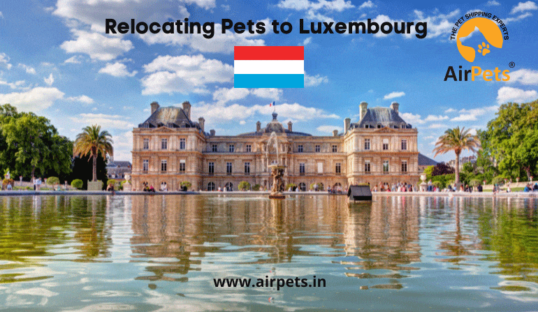 Relocating Pets to Luxembourg