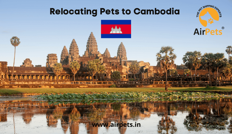 Relocating Pets to Cambodia