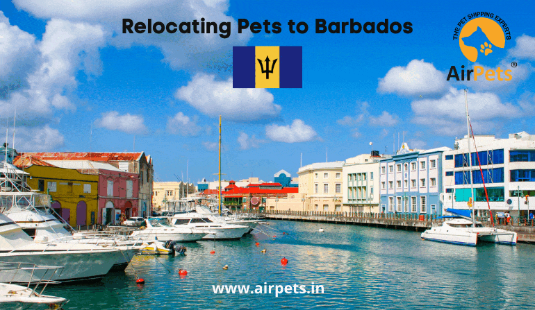 Relocating Pets to Barbados 