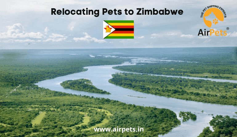 Relocating Pets to Zimbabwe