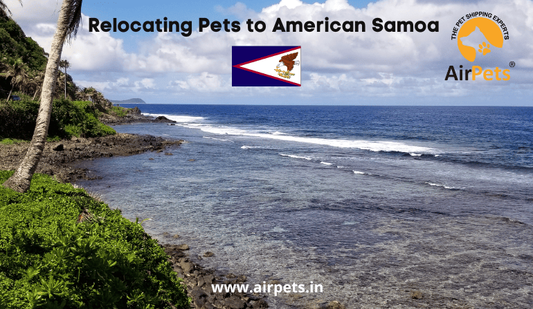 Relocating Pets to American Samoa