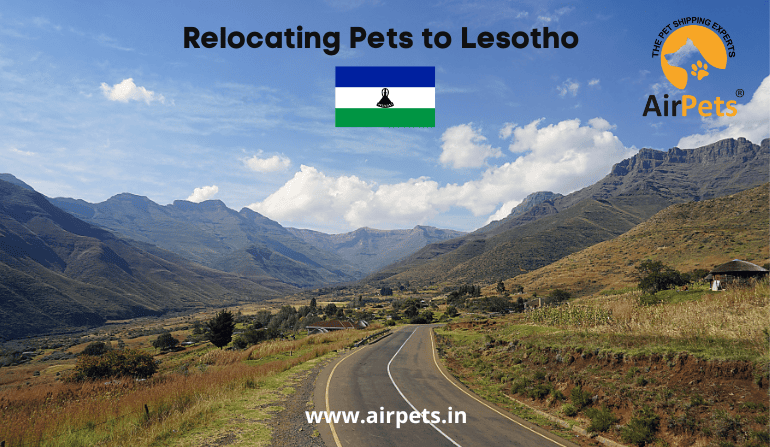 Relocating Pets to Lesotho