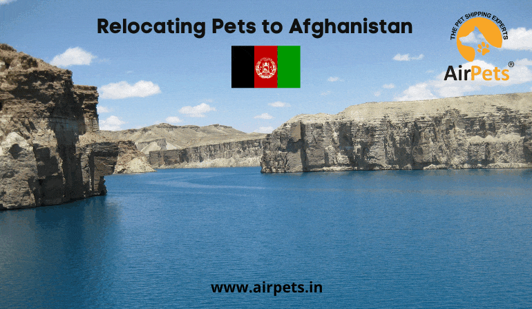 Relocating Pets to Afghanistan