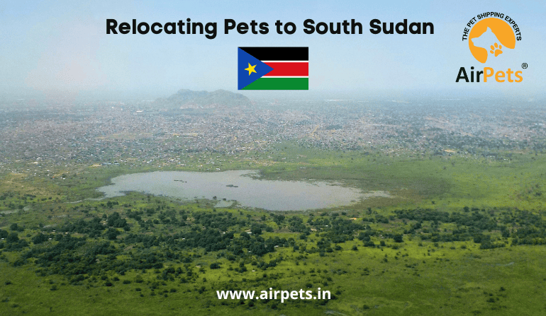 Relocating Pets to South Sudan