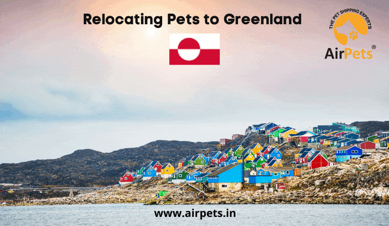 Relocating Pets to Greenland