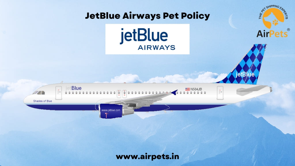 JetBlue Airways Pet Policy