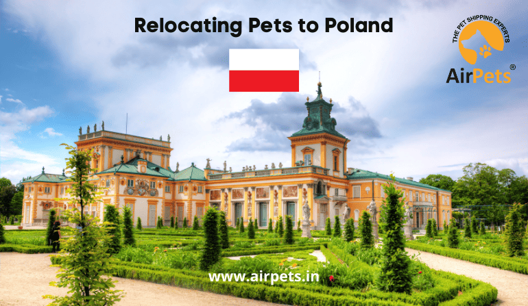 Relocating Pets to Poland