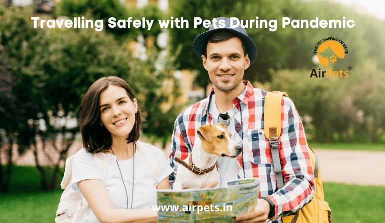 Travelling Safely with Pets during Pandemic 