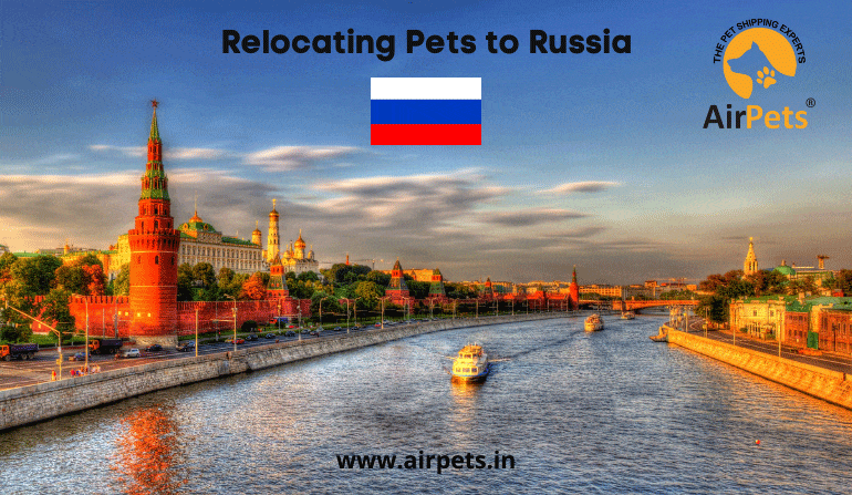Relocating Pets to Russia