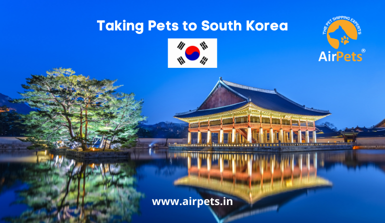 usda pet travel to korea