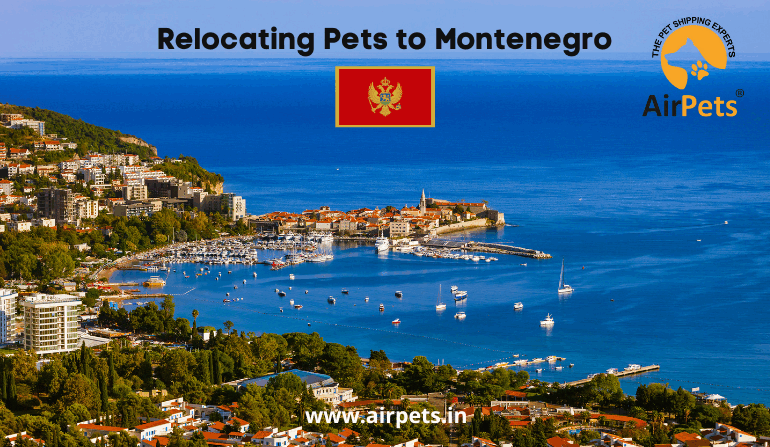 pet travel to montenegro